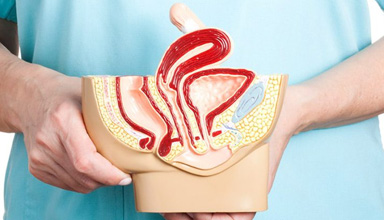 Genital Procedures